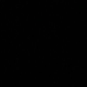 Meet your Posher, Jordyn